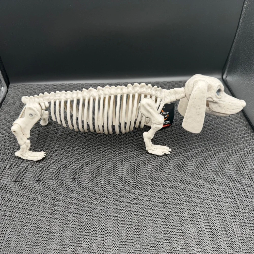 Hyde & EEK Halloween Dachshund Skeleton Dog Prop Indoor Outdoor Missing Tail